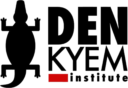Den Kyem Institute